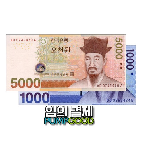 택배비(시제이택배-큰박스)/6000원 임의결제